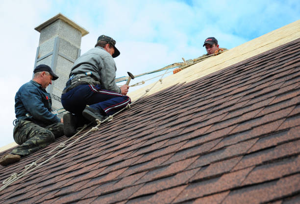 Best Roof Leak Repair  in Silsbee, TX